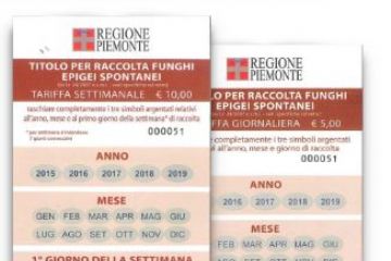 Voucher funghi anno 2025